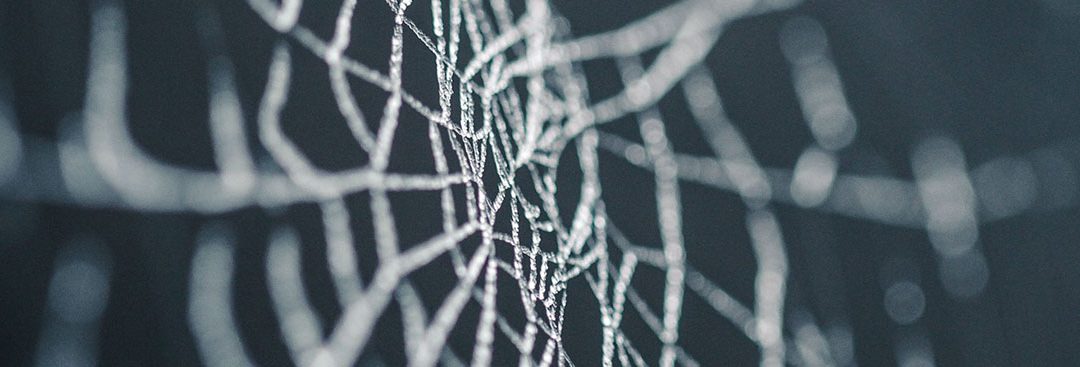 In supply chain, legacy systems can seem like being “stuck in a web”